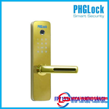 Khóa cửa cho căn hộ, nhà phố, chung cư PHGLOCK FP7153W-G (Mica gương Vàng)