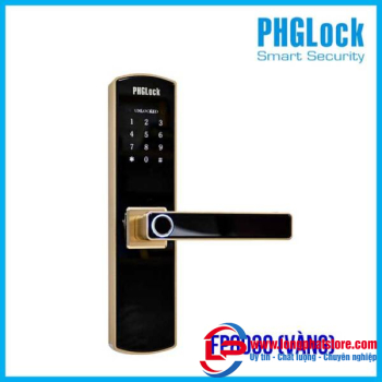 Khóa cửa cho văn phòng, căn hộ PHGLOCK FP8030 (Vàng)