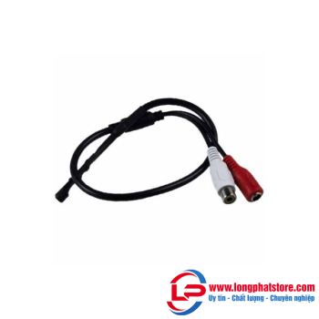 Micro dây cho camera